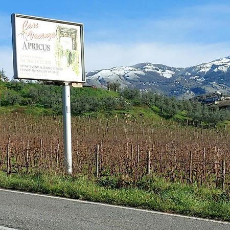 הוילה Olevano Romano La Loggetta Di Apricus מראה חיצוני תמונה