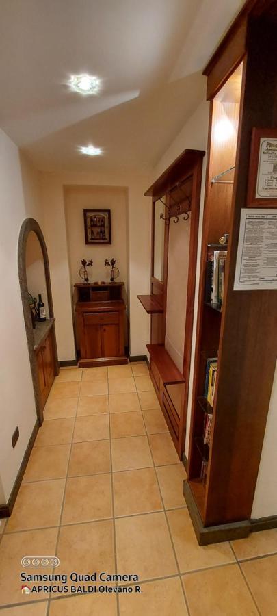 הוילה Olevano Romano La Loggetta Di Apricus מראה חיצוני תמונה